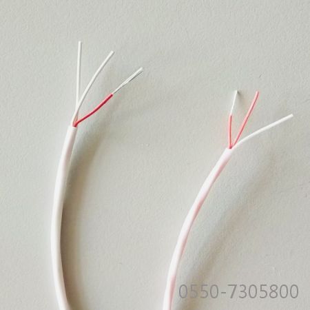 AFFP耐高溫200度鍍銀線