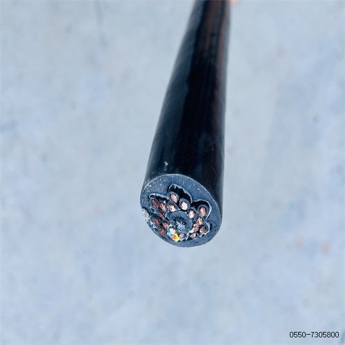 16848897925528.jpg 特種電纜廠家251.jpg