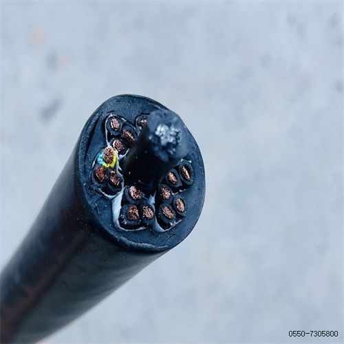 16853235337327.jpg 特種電纜廠家244.jpg